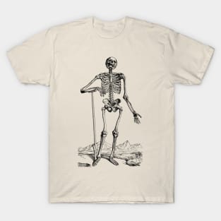 Vintage Human Anatomy Skeleton T-Shirt